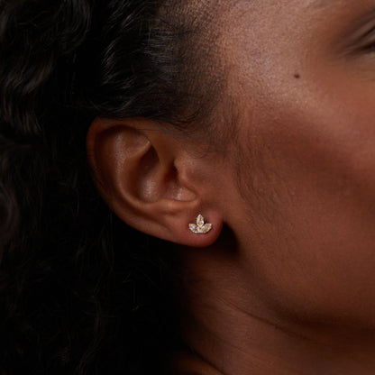 Krystal Lotus Vandfald Øreringe
